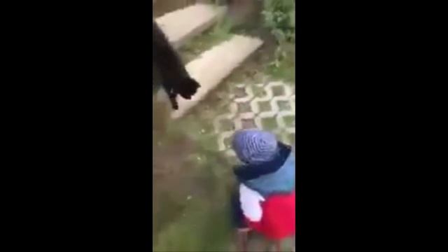 Спроси как дела у кошечки! Она сказала - Зае*ись))) смотреть онлайн