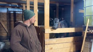 Наконец-то все готово. Неужели и такое бывает? Наша ферма. Жизнь простых людей в деревне.