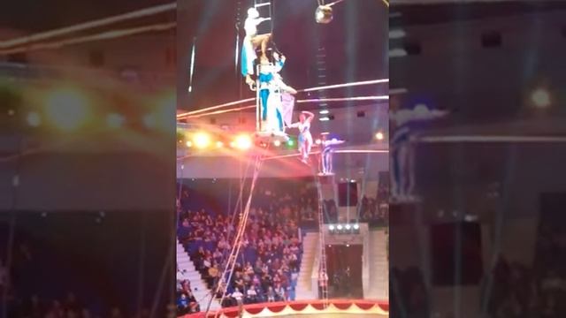 Цирк лазерное шоу и гемнасты