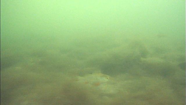 Сугояк 12.12.19г(3)3.5м смотреть онлайн