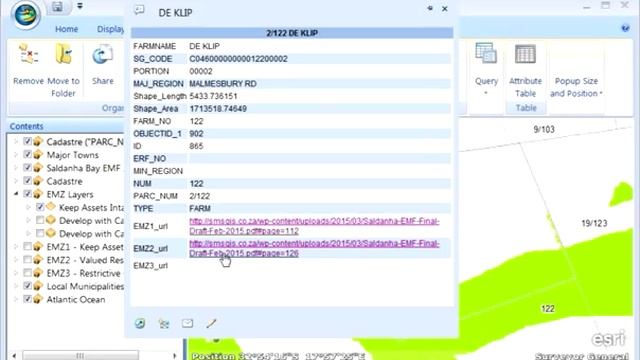 Saldanha EMF video tutorial смотреть онлайн