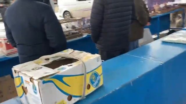 26,12,2021 вторая часть выставки .