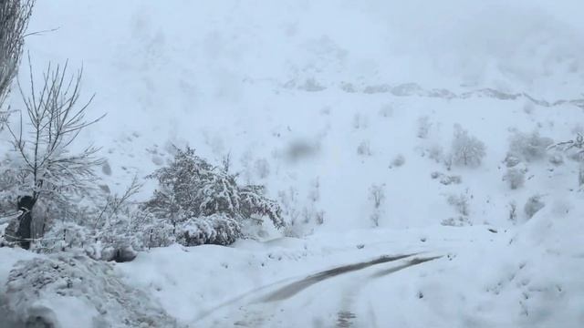 Снежный Сароб смотреть онлайн