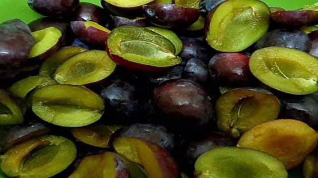 Сборник рецептов