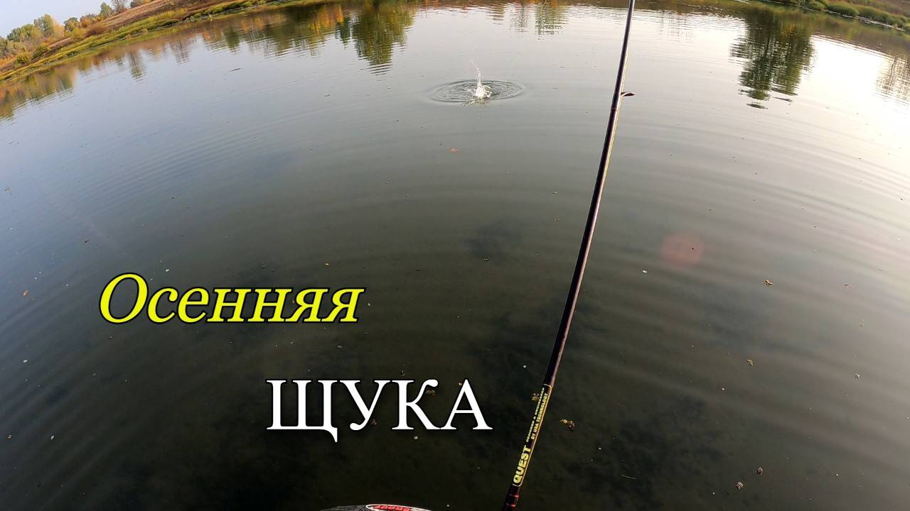 Осенняя рыбалка на щуку. Щука на спиннинг смотреть онлайн