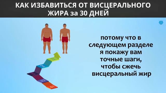 Как Избавиться от Висцерального ЖИРА за 30 дней. смотреть онлайн