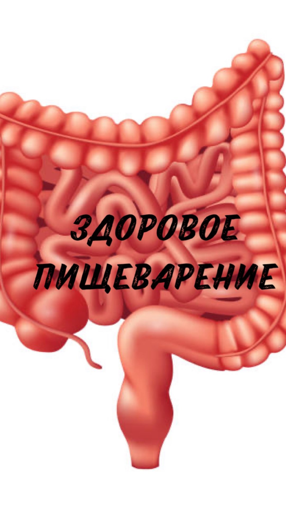 Здоровое пищеварение