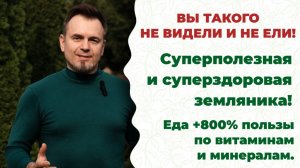 Земляника, как ее вырастить? С инновационными суперпрепаратами. Смотри видео!