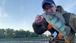 МИКРОДЖИГ РУЛИТ! МИКРОРЕЧКА РАЗДАЁТ!