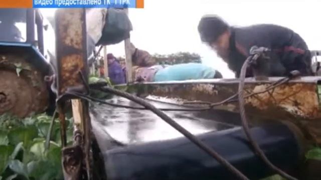 Совещание с аграриями Суходолова смотреть онлайн