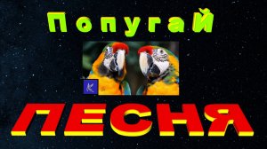 ПОПУГАЙ
