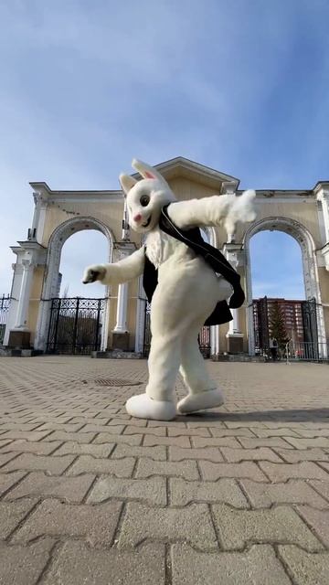 Танцующий зайка смотреть онлайн