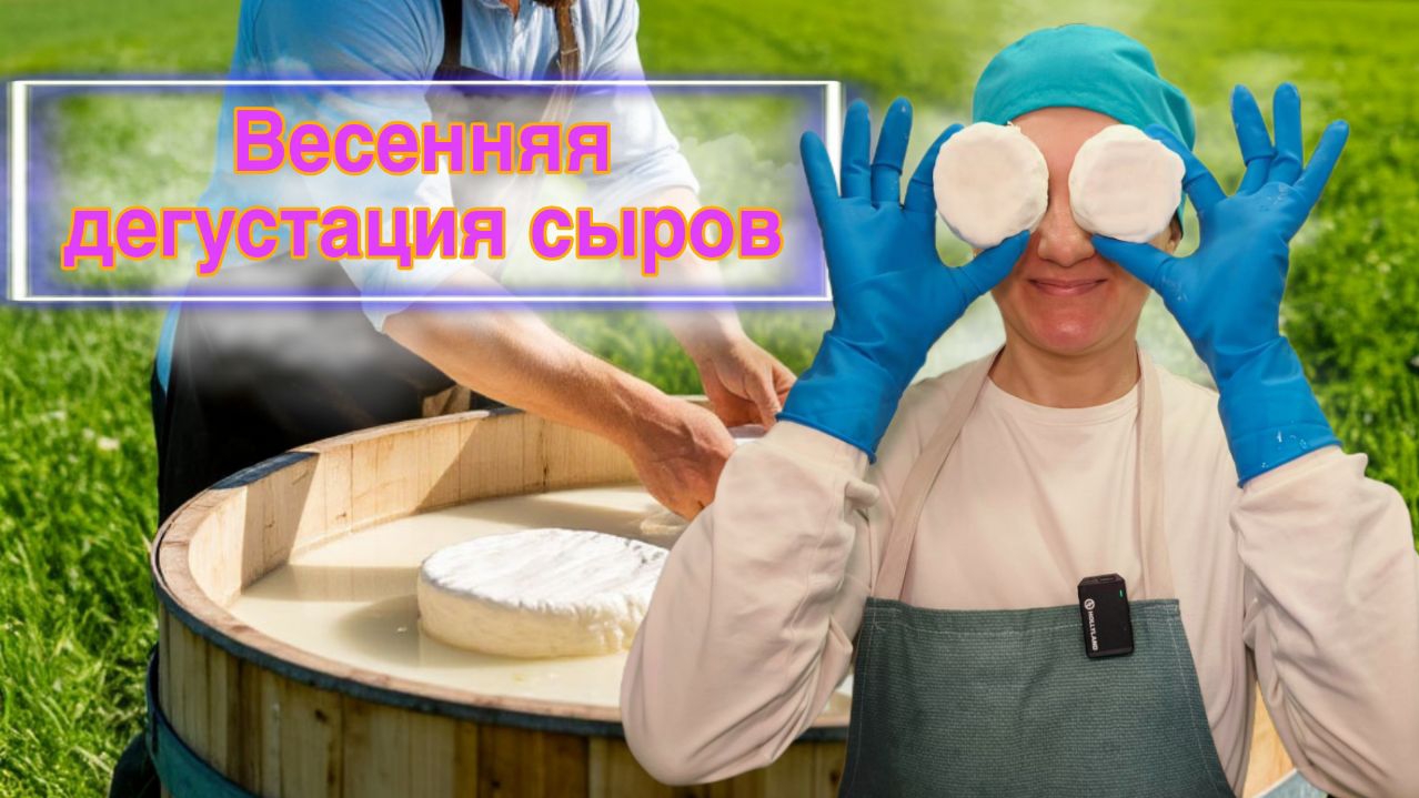 Весенняя коллекция крафтовых сыров. Чеддер из козьего молока, Дуглас с черёмухой и другие сыры смотреть онлайн