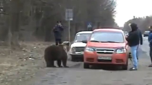 Мишка Юмор! Прикол! Смех смотреть онлайн