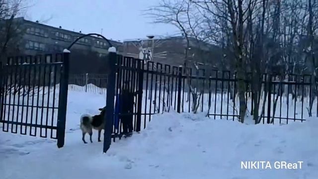 Прикол со школьником. смотреть онлайн
