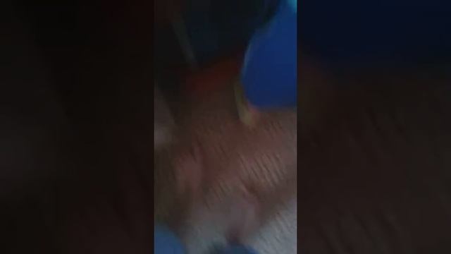 29 апреля 2017 г.