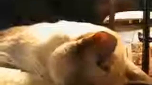 Заснул немного смотреть онлайн