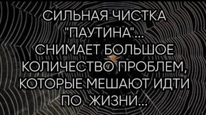 СИЛЬНАЯ ЧИСТКА ...ПАУТИНА...ДЛЯ ВСЕХ...