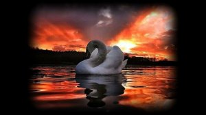 ЛЕБЕДИНАЯ ВЕРНОСТЬ. Музыка-Е. Мартынова, текст-А. Дементьева. Песня под минусовку.