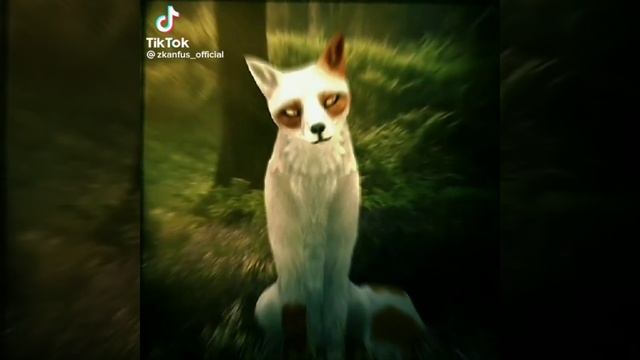 подборка из тик тока анимация WildCraft смотреть онлайн
