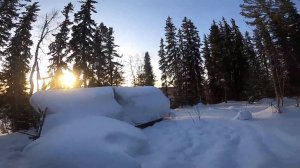 Рыбалка на озере. Сеть и удочки. День первый. 29.03.2022