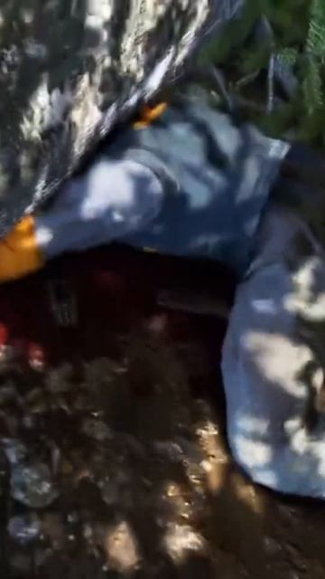 Аджай приуныл в Far Cry 4 смотреть онлайн