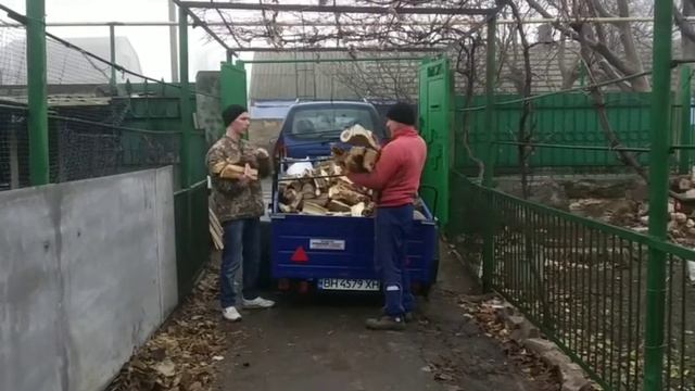 Первый снежок и мороз, на пару дней.И снова болото ,туманы.😬Кролики.