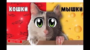 Кошки мышки А ну ка давайка