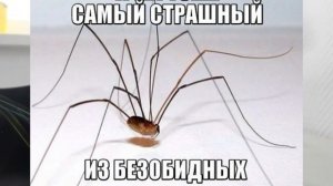 Лучшие приколы на 1 Апреля