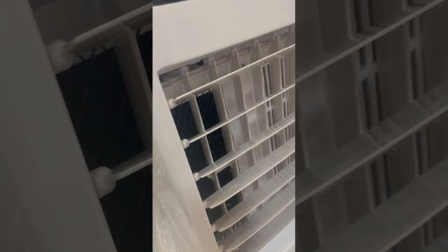 Rutube_account_19160012