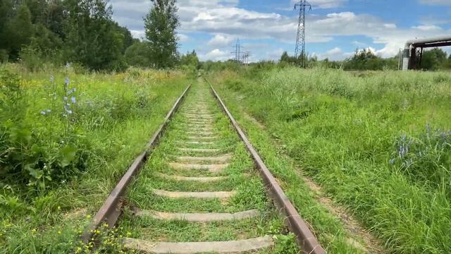 GoPro12 VS Media Mod / Новая настройка микрофонов!