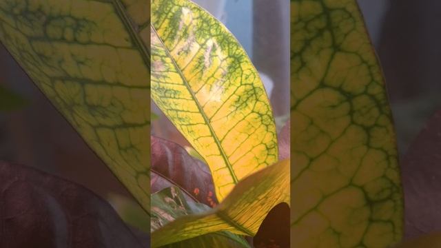 Поздравляю с 1 мая! смотреть онлайн