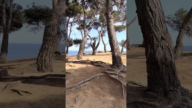 4 сентября 2022 г.