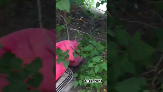 Я таким был всегда.. смотреть онлайн
