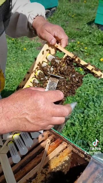 🐝🐝🐝🐝🐝🐝🐝 смотреть онлайн