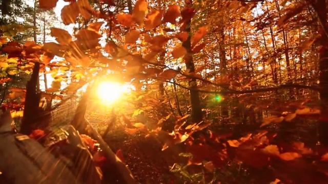 КРИСТИНА Corp  Октябрьский вечер