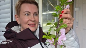 1 мая дача утро | снег и цветы Первомая