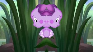 срунтик RYTP куук