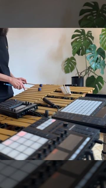 Эту мелодию хочется слушать вечно..❤️ смотреть онлайн