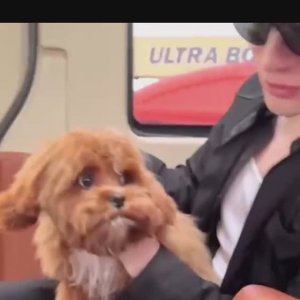 75 секунд нежности и любви...