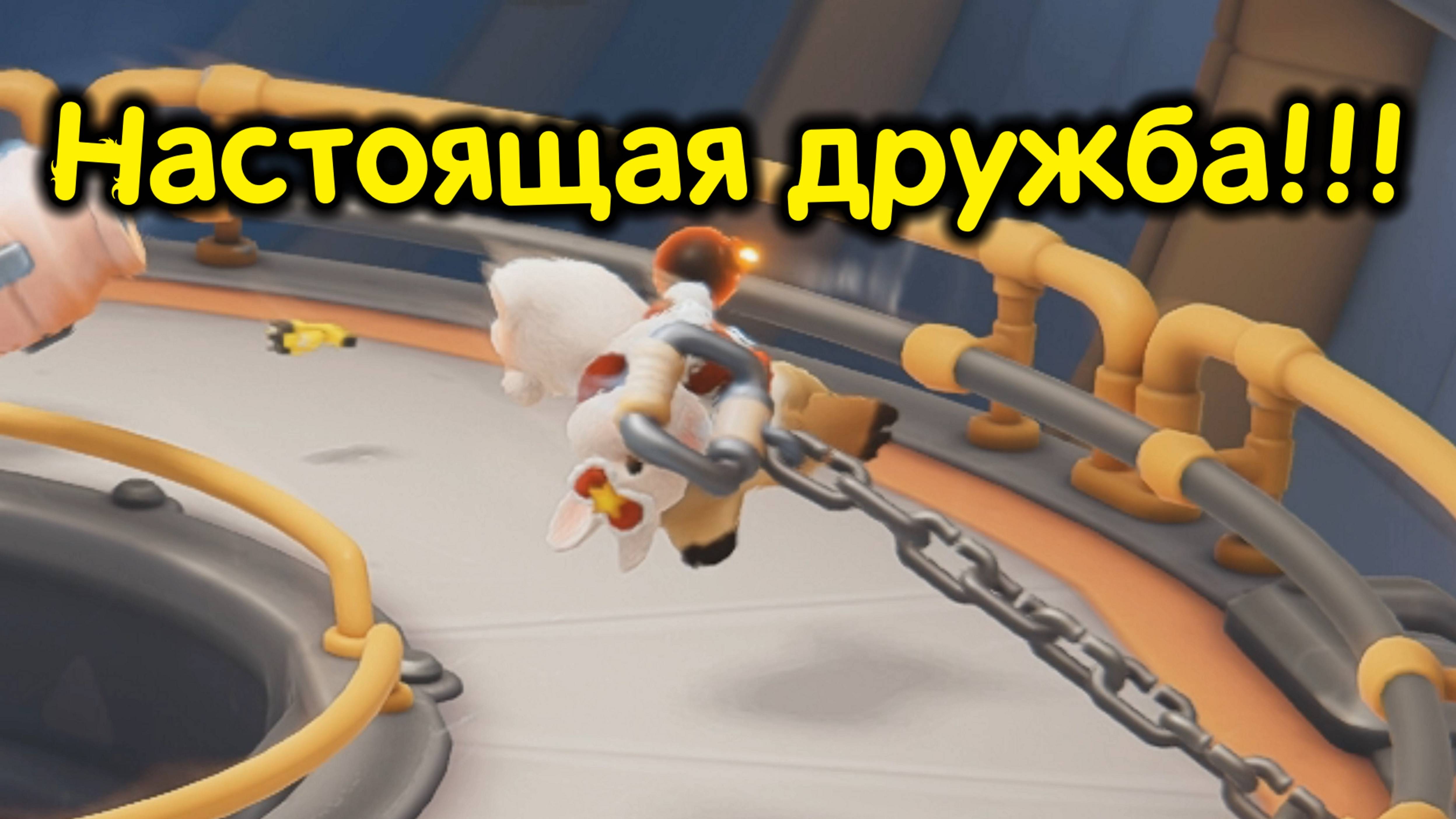 Настоящая дружба или Война Катенька