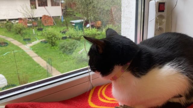 Приехали в гости