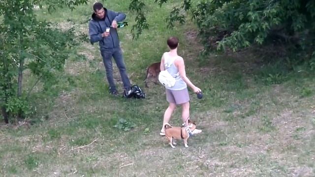 Пикник на природе #прикол смотреть онлайн