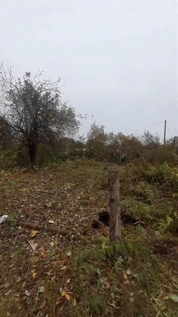 Очистка участка от поросли и деревьев смотреть онлайн