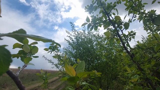 Душа твоя чиста; унынье чуждо ей; / Светла, как ясный день, младенческая совесть. А.С. Пушкин