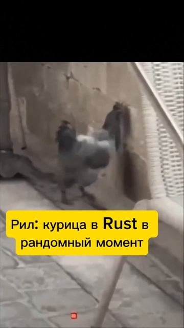 Курица в Rust #rust #раст #мем #игры смотреть онлайн