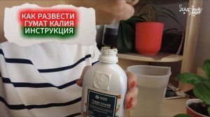ПОЛИВ ГУМАТОМ КАЛИЯ РАССАДЫ - ЛУЧШАЯ ПОДКОРМКА ДО ВЫСАДКИ РАССАДЫ НА ГРЯДКИ