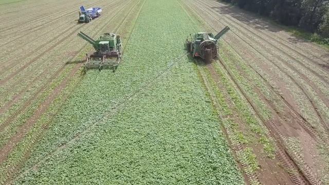 ГК «ЭКОР» Словакия сотрудничество