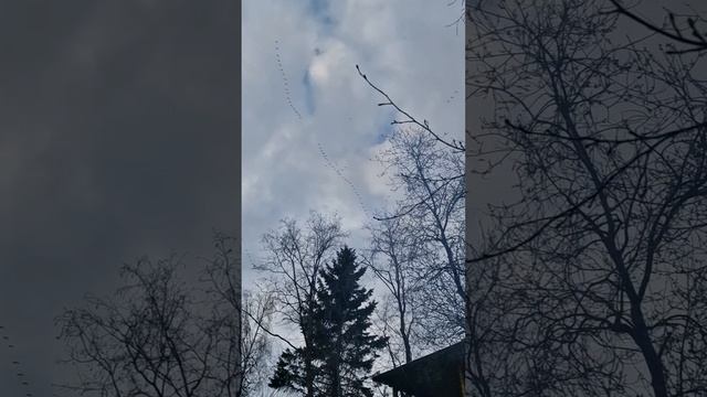 какой шашлык не надо готовить!!!