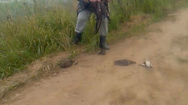 Самая крутая охота на уток(Best Duck Hunting in Russia) смотреть онлайн
